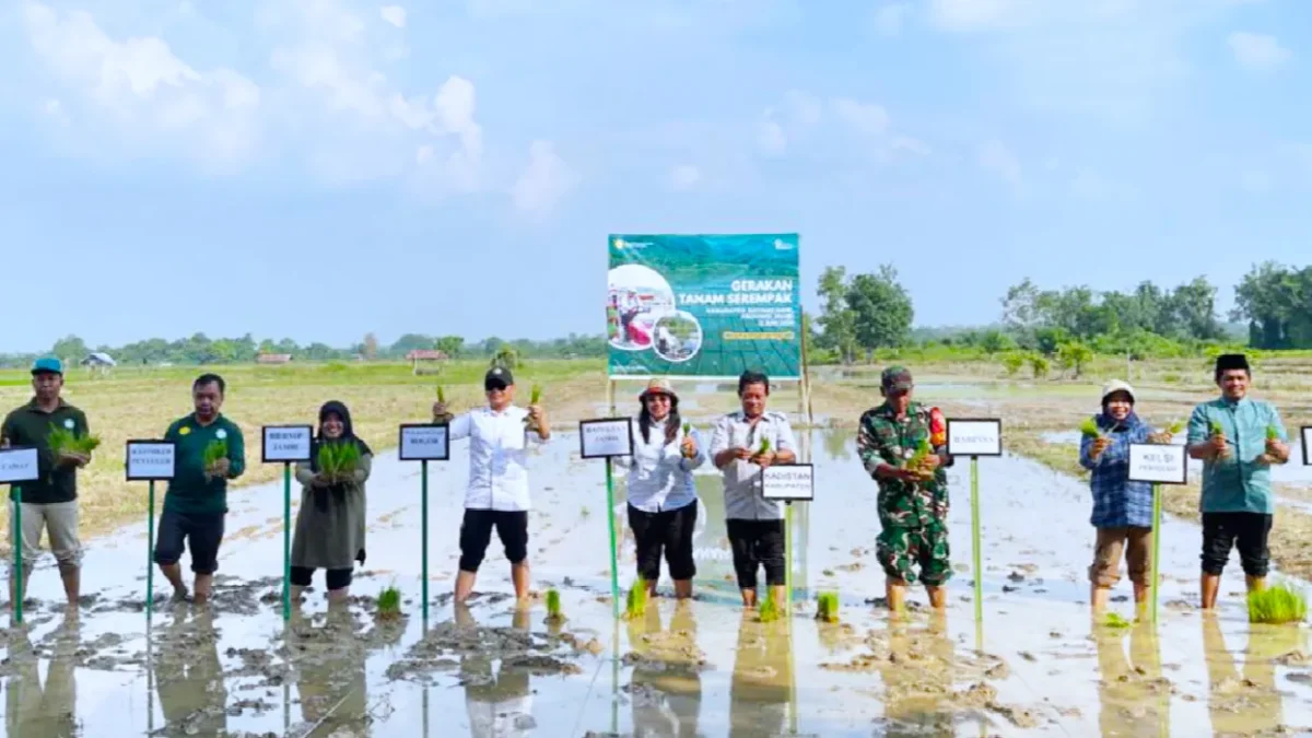 Gerakan Tanam Serentak Batanghari (Foto: dok. BRMP Jambi)