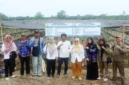 BRMP Jambi Pastikan Kualitas 561 Ribu Benih Kelapa Dalam (Foto: Dok. BRMP Jambi)