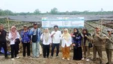 BRMP Jambi Pastikan Kualitas 561 Ribu Benih Kelapa Dalam (Foto: Dok. BRMP Jambi)