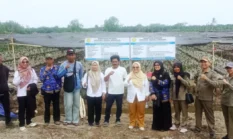 BRMP Jambi Pastikan Kualitas 561 Ribu Benih Kelapa Dalam untuk Program Pengembangan 2026
