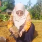 BRMP Jambi Kembangkan Pepaya Merah Delima (Foto: Dok. BRMP Jambi) 