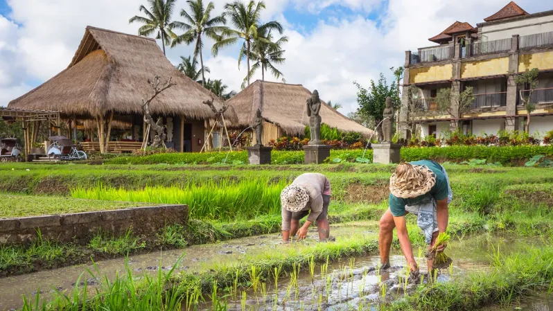 Suasana Wisata Desa (Foto: Ist)