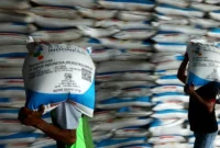 Pupuk Bersubsidi Terjaga Jadi Kunci Produksi Beras Indonesia Terus Meningkat (Foto: Pupuk Indonesia)