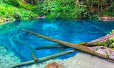 Danau Kaco, Pesona Akuarium Alami di Tengah Hutan Kerinci