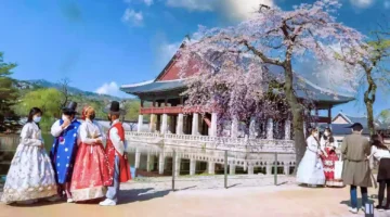 Tren Tinggal Sebulan di Korea Selatan Meningkat, Wisatawan Ingin Rasakan Kehidupan Lokal (Foto: angkasatour)
