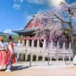 Tren Tinggal Sebulan di Korea Selatan Meningkat, Wisatawan Ingin Rasakan Kehidupan Lokal (Foto: angkasatour)