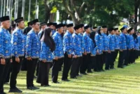 Ilustrasi CPNS Guru (Foto: Ist)