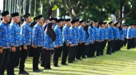 Ilustrasi CPNS Guru (Foto: Ist)