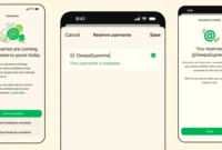 WhatsApp Hadirkan Fitur Username (Foto: Dok. WhatsApp)