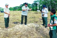 BRMP Jambi Kawal Kesiapan Program Cetak Sawah Rakyat Seluas 22 Hektare di Sarolangun (Foto: Dok. BRMP Jambi)
