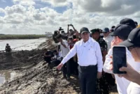 Mentan Andi Amran Sulaiman meninjau program cetak sawah di Merauke (Foto: Luqman Rimadi)