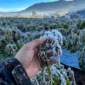 Muncul Embun Es di Dieng, BRIN Ungkap Penyebab dan Dampaknya bagi Pertanian (Foto: Ist)