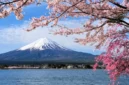 Ilustrasi wisata Jepang (Goryu/iStockphoto/Getty Images)