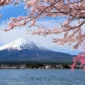 Ilustrasi wisata Jepang (Goryu/iStockphoto/Getty Images)