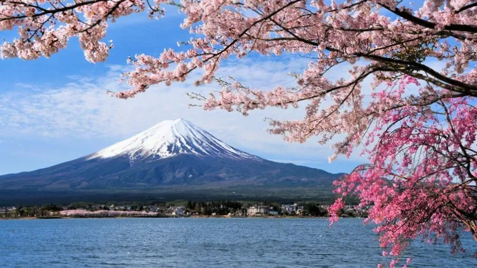 Ilustrasi wisata Jepang (Goryu/iStockphoto/Getty Images)